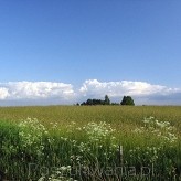 Andrzej Pobiedziński; http://pl.freeimages.com/photographer/Sarej-47901