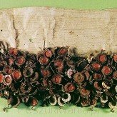 Konfederacja Warszawska