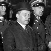 Ferdynand Goetel