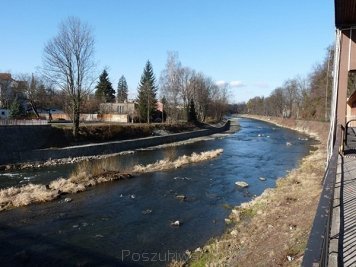 Olza w Cieszynie. W 1919 roku rzeka ta podzieliła Śląsk Cieszyński na część polską i czeską (fot. TomaszJanski, opublikowano na licencji Creative Commons Uznanie autorstwa – Na tych samych warunkach 3.0). 