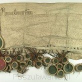 Dokument z epoki. Stany pruskie oddają swe ziemie królowi polskiemu Kazimierzowi Jagiellończykowi i koronie polskiej (domena publiczna)