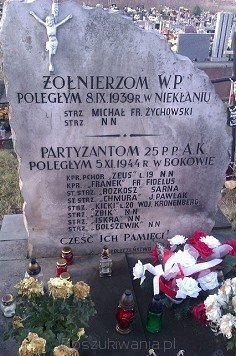 Poszukiwanie brzozowego krzyża. Wojciech Kronenberg „Kicki” 