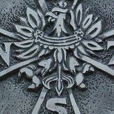 Powstanie Narodowych Sił Zbrojnych