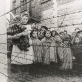 Wyzwolenie obozów zagłady Auschwitz