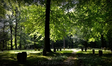foto: Pexels