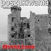Poszukiwania nr 32