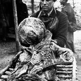 Psy Stalina … 125 enkawudzistów, którzy naciskali na spust, wozili zwłoki, zasypywali doły z ciałami pomordowanych Polaków