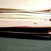 foto: Nadia Szopińska