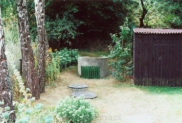Szczycieńska Pozycja Leśna (Ortelsburger Waldstellung)