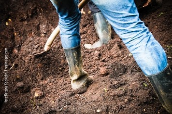 Znaczenie archeologii w badaniach nad dziejami i kulturą Celtów.